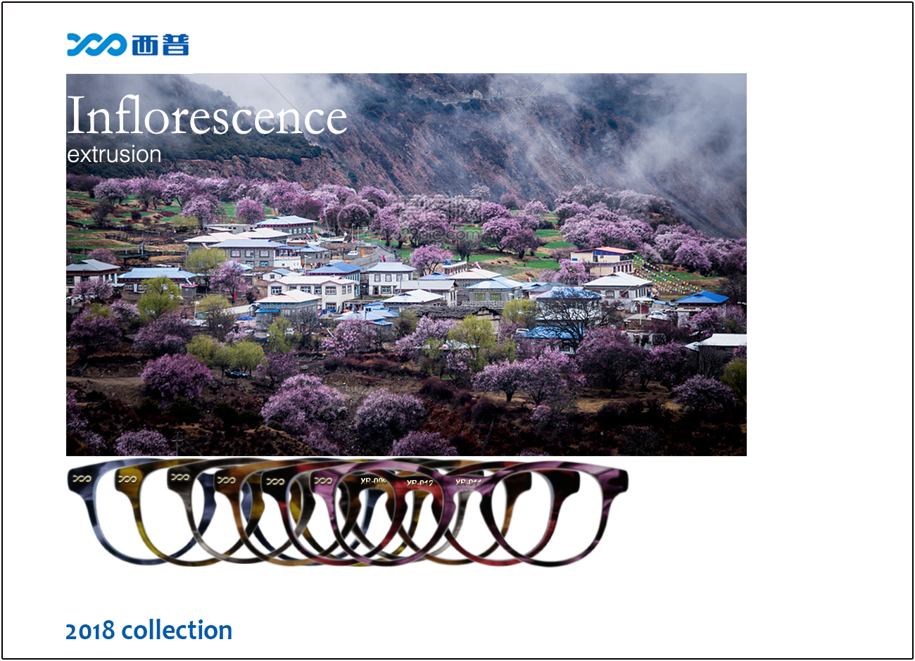 2018 collection of Inflorescence
